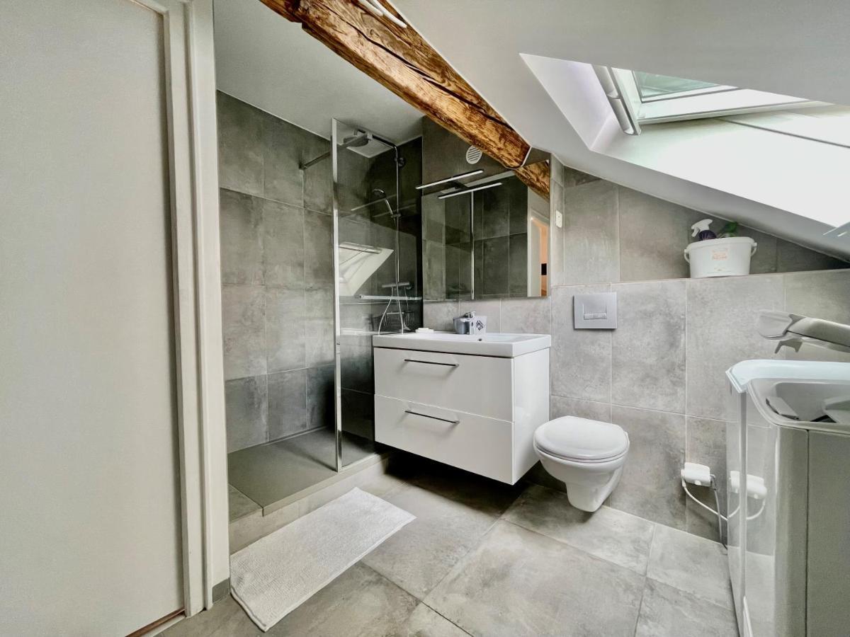 Apartamento La Maison De Jade Gex Exterior foto